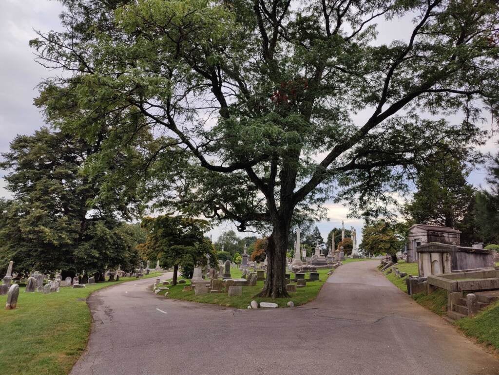 A view of the Laurel Hill Cemetery