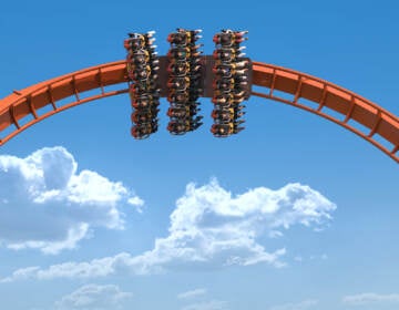 roller coaster at an amusement park.