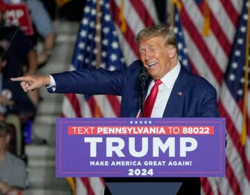 Donald Trump speaking at a campaign rally