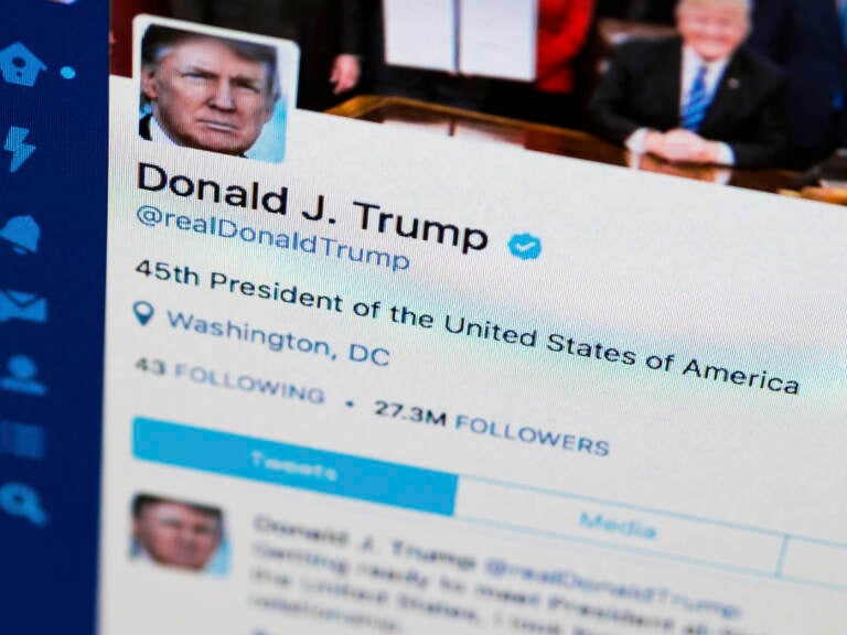 screenshot of Trump's twitter account