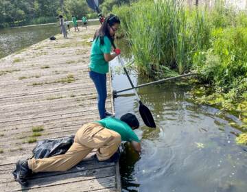 Joy Chen, 16, and friend pull trash thrown into the lake at FDR Park, before participating in boating or fishing with the Discovery Pathways outdoors program in July 2023