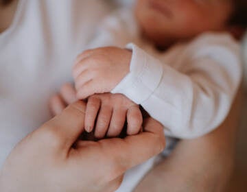 A hand holds a baby's hand