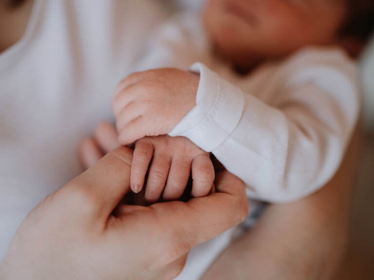 A hand holds a baby's hand