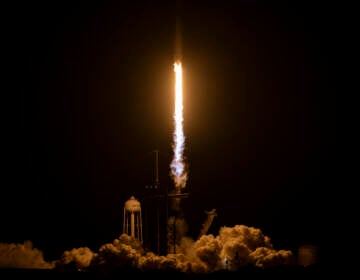 A SpaceX Falcon 9 rocket lifts off in the dark.