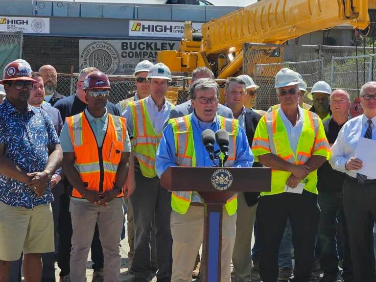 State Transportation Secretary Mike Carroll speaks at a podium