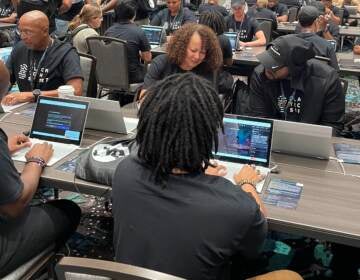 People sit and work together on laptops.