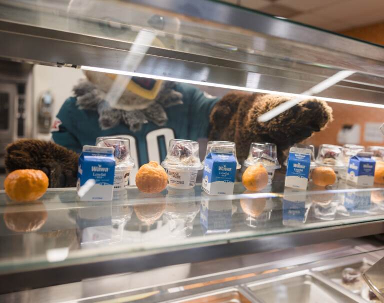 schoollunch-milk-oranges-swoop-scaled Items available at a Philly school cafeteria, with Eagles mascot Swoop in the background. (Courtesy School District of Philadelphia)