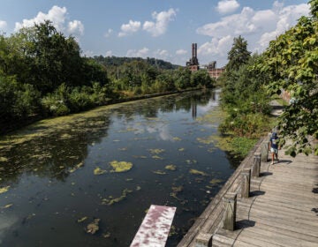 A person walks along the Schuylkill River Trail near the Manayunk Canal, as seen from above.