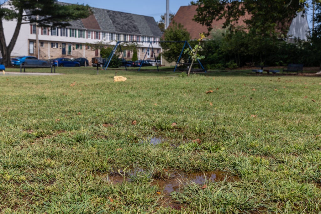 A puddle of water is visible in a field. Homes are visible in the distance.