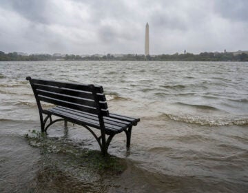 The Tidal Basin in Washington overflows the banks with the rain from Tropical Storm Ophelia, Saturday, Sept. 23, 2023. The National Weather Service has issued a coastal flooding warning for the area.