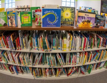 Books on shelves in a library