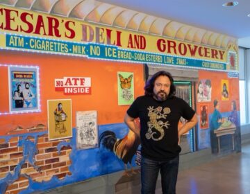 Cesar Viveros poses for a photo in front of a mural and installation at the Delaware Art Museum