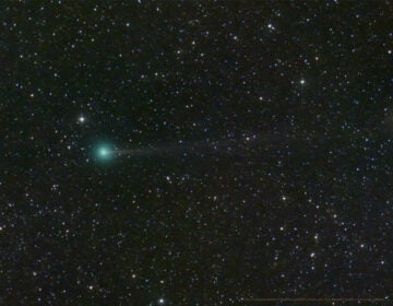 Meet the comet Nishimura.