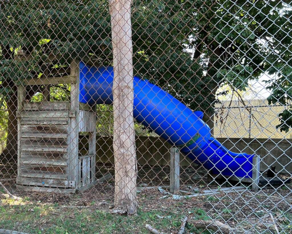 A slide is visible behind a fence