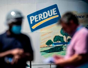 The Perdue Farms chicken and poultry processing factory in Salisbury, Md., pictured on May 2, 2020.