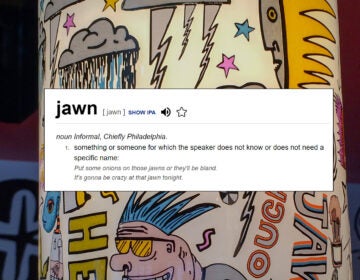 The Dictionary.com definition of ''jawn.''