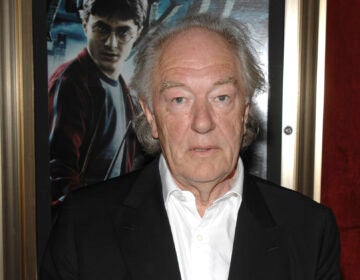 Actor Michael Gambon attends the premiere of 
