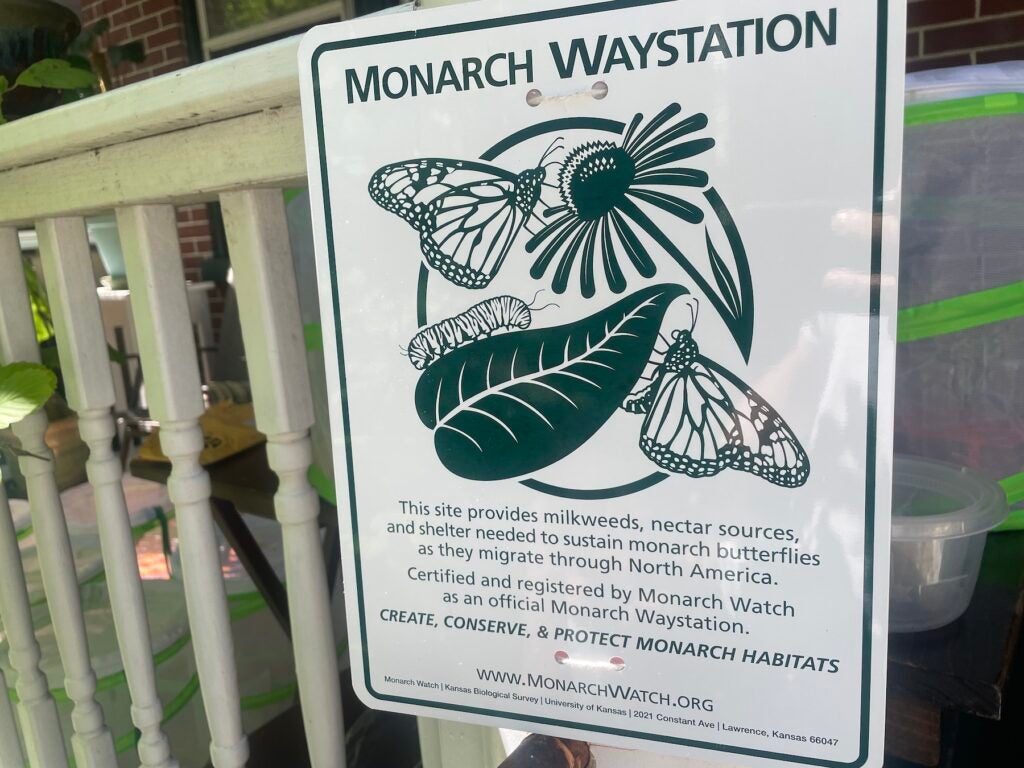 A closeup of a sign that says 'Monarch Waystation'