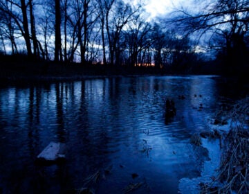 Neshaminy Creek at sunset