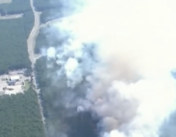 smoke seen from a wildfire