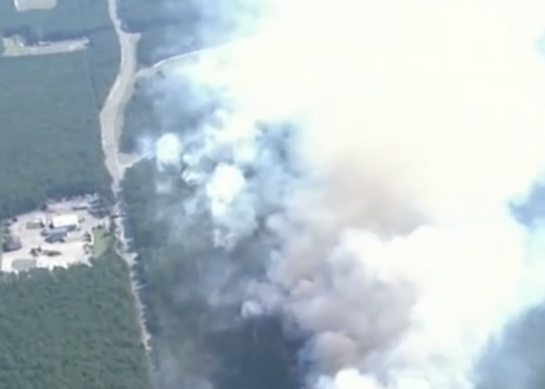 smoke seen from a wildfire