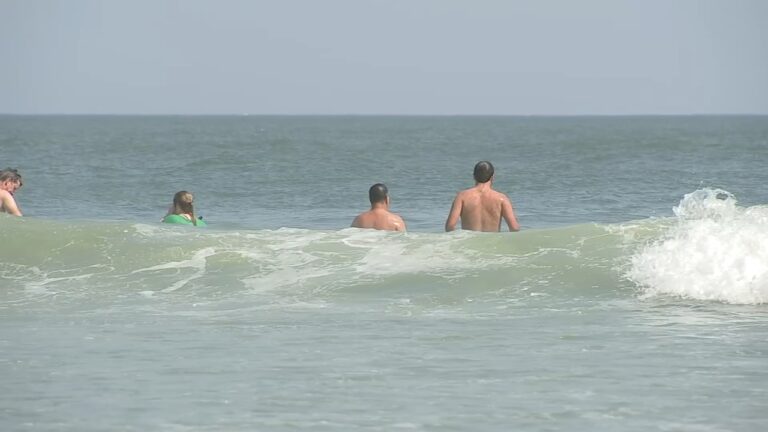 People swimming in the ocean