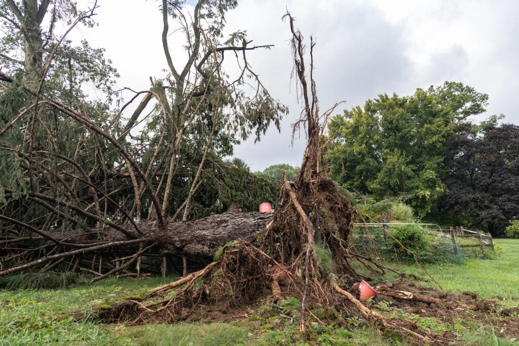 A strong storm that hit Chadds Ford in Delaware County, Pa. on Aug. 7, 2023, uprooted trees and damaged property. 