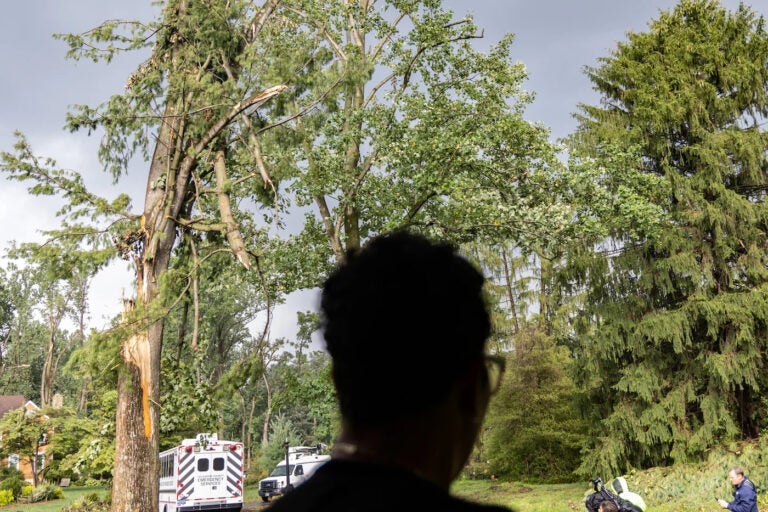 Cat Tucker watches from her porch as a television crew films a mangled tree swaying in her front yard, after a severe thunderstorm passed through Chadds Ford, Delaware County in August, 2023