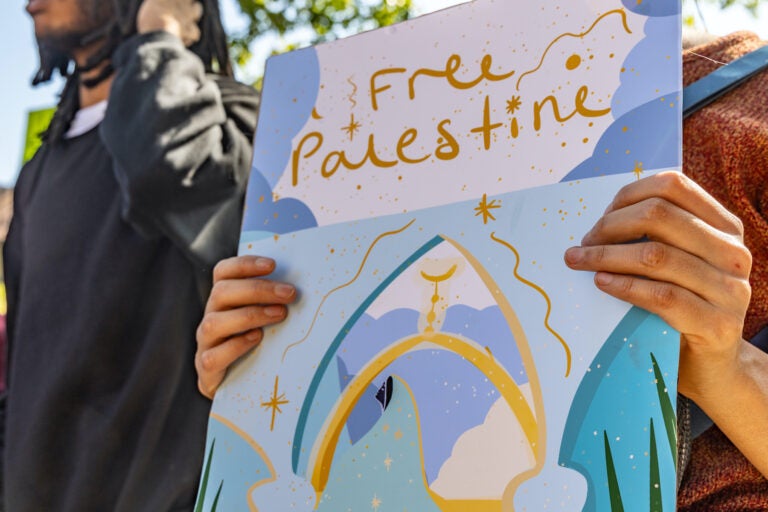 Someone holds up a sign that says 'Free Palestine' at the rally