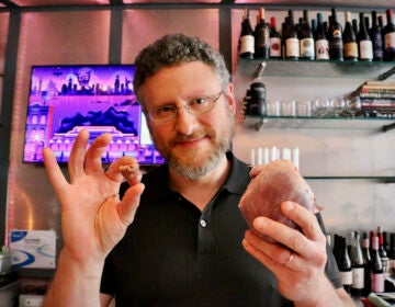 Dr. Jonathan Reisman holds up a chicken heart and a pig heart for comparison