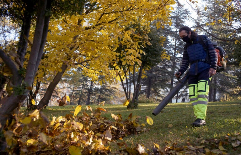 Powered deals leaf blower