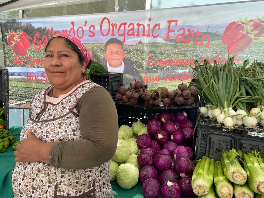 Albis Claribel Lopez, co-owner of Gallardo’s Organic Farm in Watsonville, California, wants to bring healthier options to her community through her fresh produce.(Courtesy of Christine Nguyen)