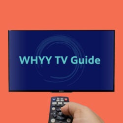 The Brain - Where to Watch and Stream - TV Guide