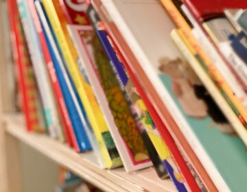 A close-up of rows of books on a shelf