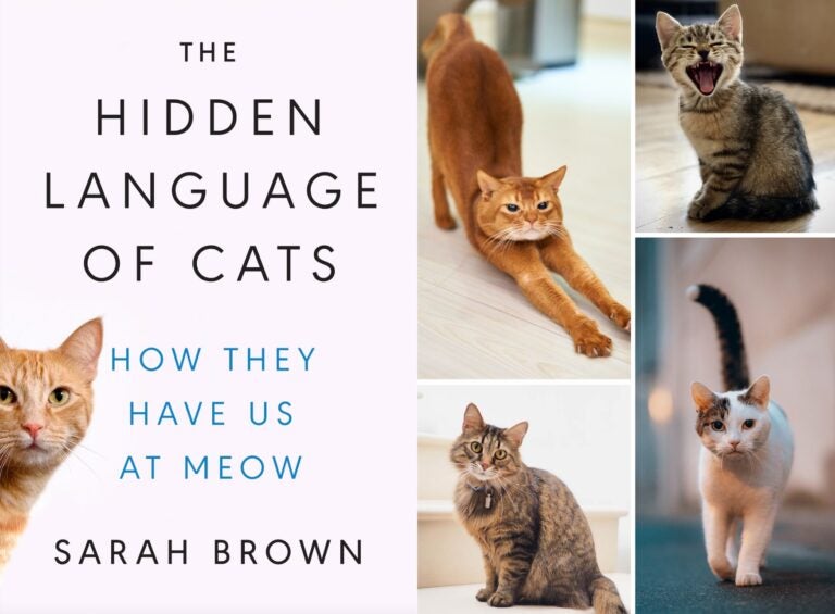 Sarah Brown, PhD is the author of The Hidden Language of Cats. 