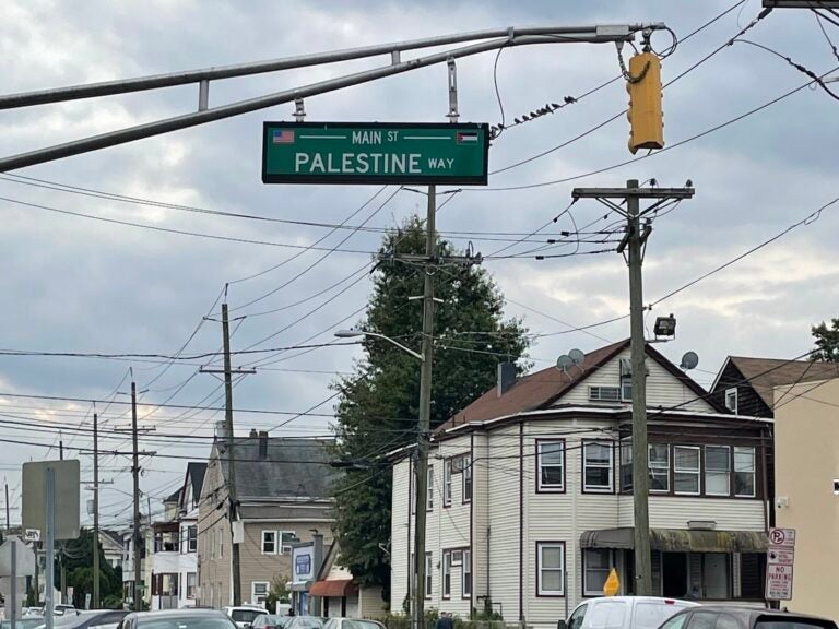 A sign reads Palestine Way. Houses are visible in the background.