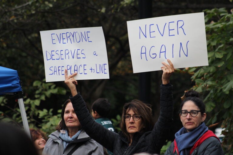 A woman holds up signs saying 'Never Again' at the pro-Israel rally.