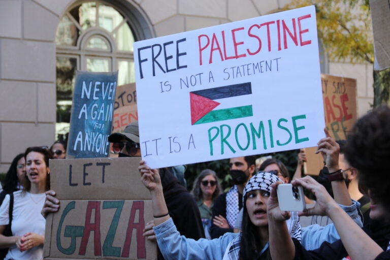 People holding up Pro-Palestine signs at the rally