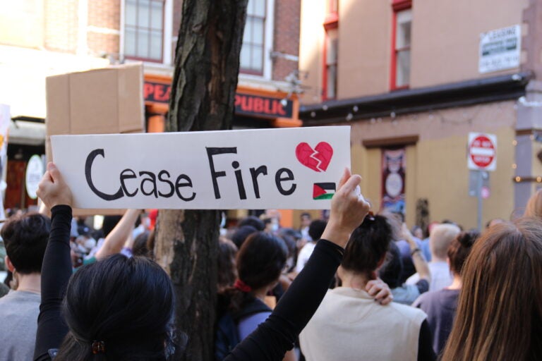 Protesters holding signs and Palestinian flag at the rally.