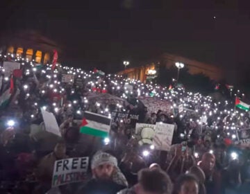 A screenshot from a video showing part of a rally at the Philadelphia Museum of Art