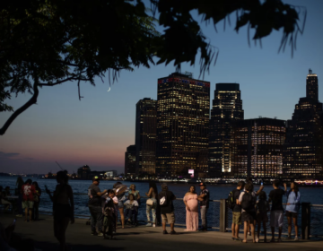 People are seen under a tree in Brooklyn Bridge Park