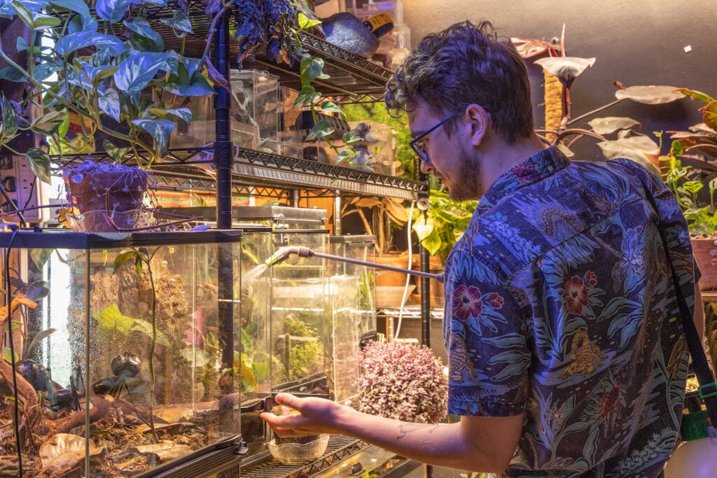 Nick Clark stands in front of insect habitats in his home.