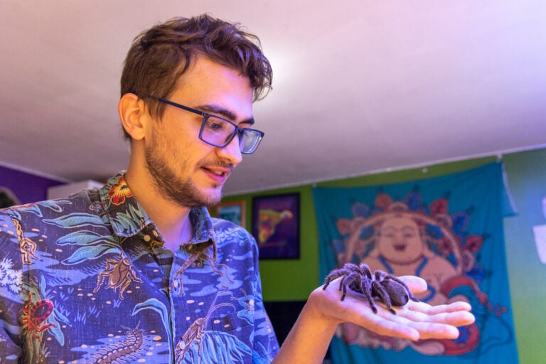 Nick Clark holds Aragog, the beloved Chilean rose hair tarantula