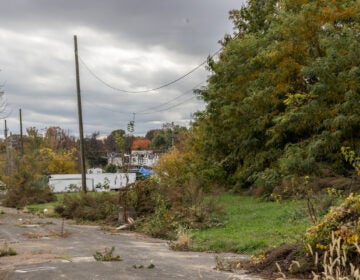North Philadelphia’s Logan Triangle once held about 1,000 homes that were demolished in the 1980s. (Kimberly Paynter/WHYY)