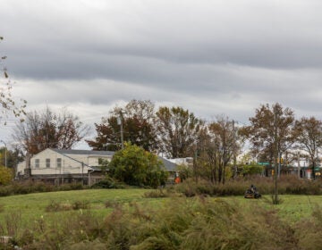 North Philadelphia’s Logan Triangle once held about 1,000 homes that were demolished in the 1980s. (Kimberly Paynter/WHYY)