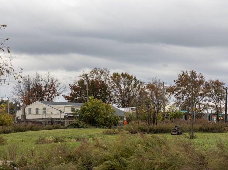 10 31 2023 k paynter logan triangle north philadelphia-9 North Philadelphia’s Logan Triangle once held about 1,000 homes that were demolished in the 1980s. (Kimberly Paynter/WHYY)