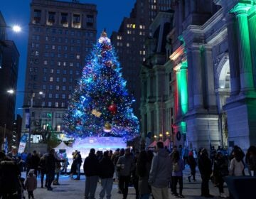 Lit up Christmas tree at city hall