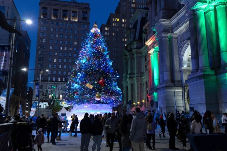 Lit up Christmas tree at city hall