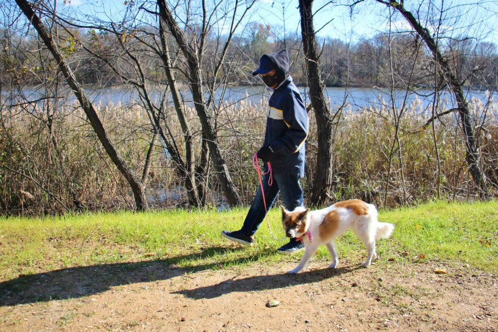 A man walks with his dog at the John Heinz National Wildlife Refuge