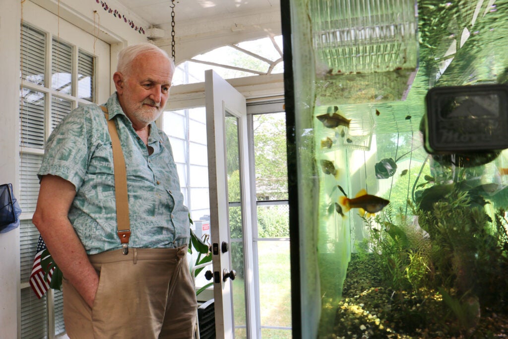 Douglas Frost looks at a fish tank